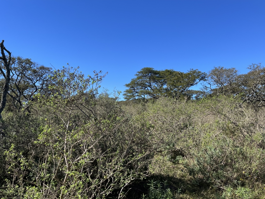 0 Bedroom Property for Sale in Stutterheim Rural Eastern Cape